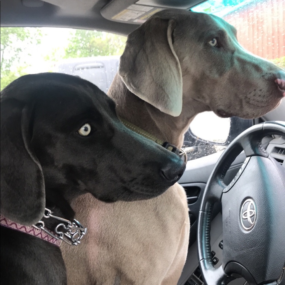 Meet your Posher, Jennifer